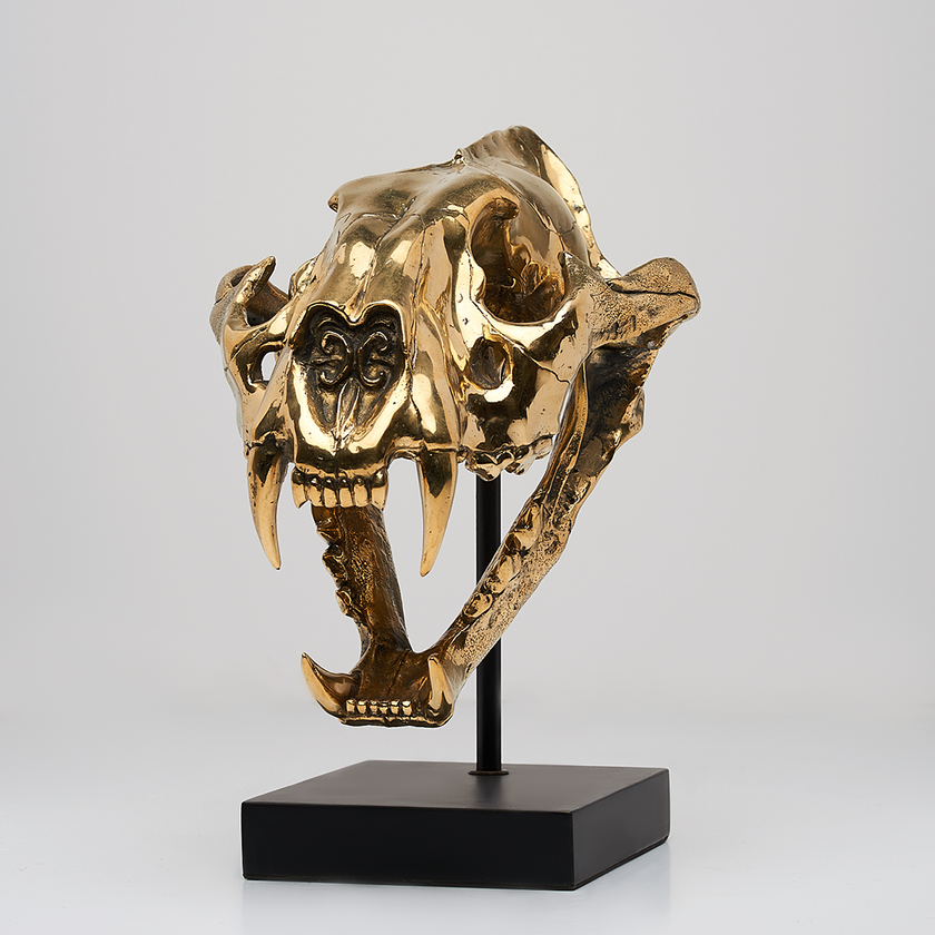 Tiger Skull Sumatran Polished Bronze