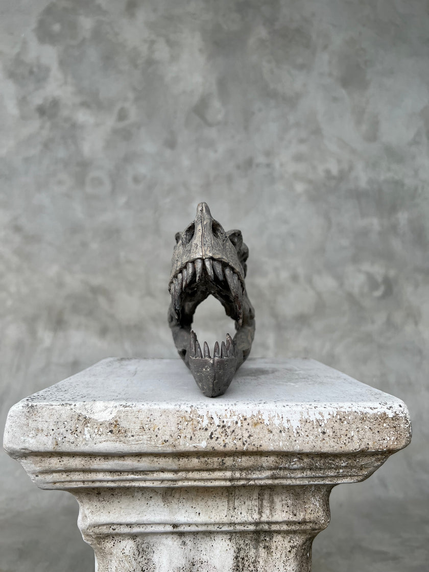 Ceratosaurus Grey - RS009