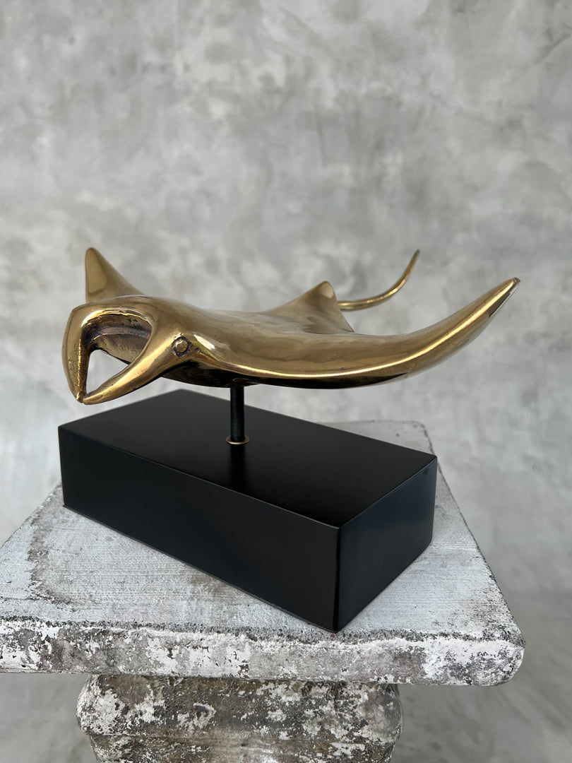 Manta Ray Polished - Medium Large