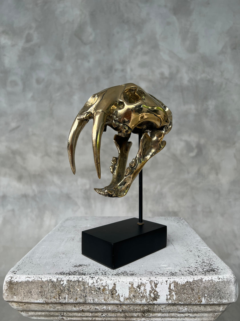 Saber Tooth TIger Polished Bronze Small