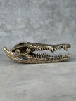 Crocodile Skull without Base Polished Bronze Large