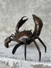 Crab Brown Bronze - S