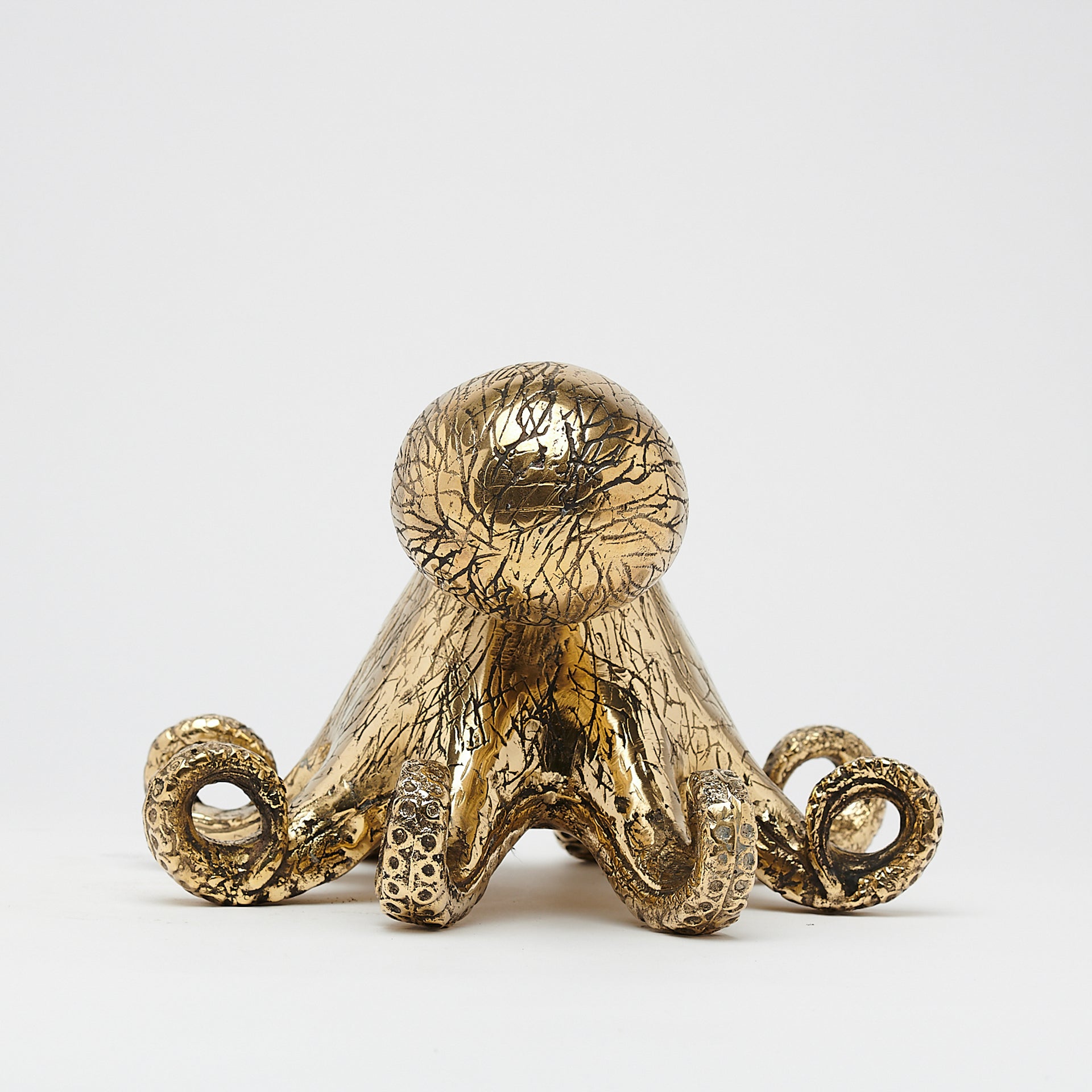 Octopus Polished Bronze - Medium