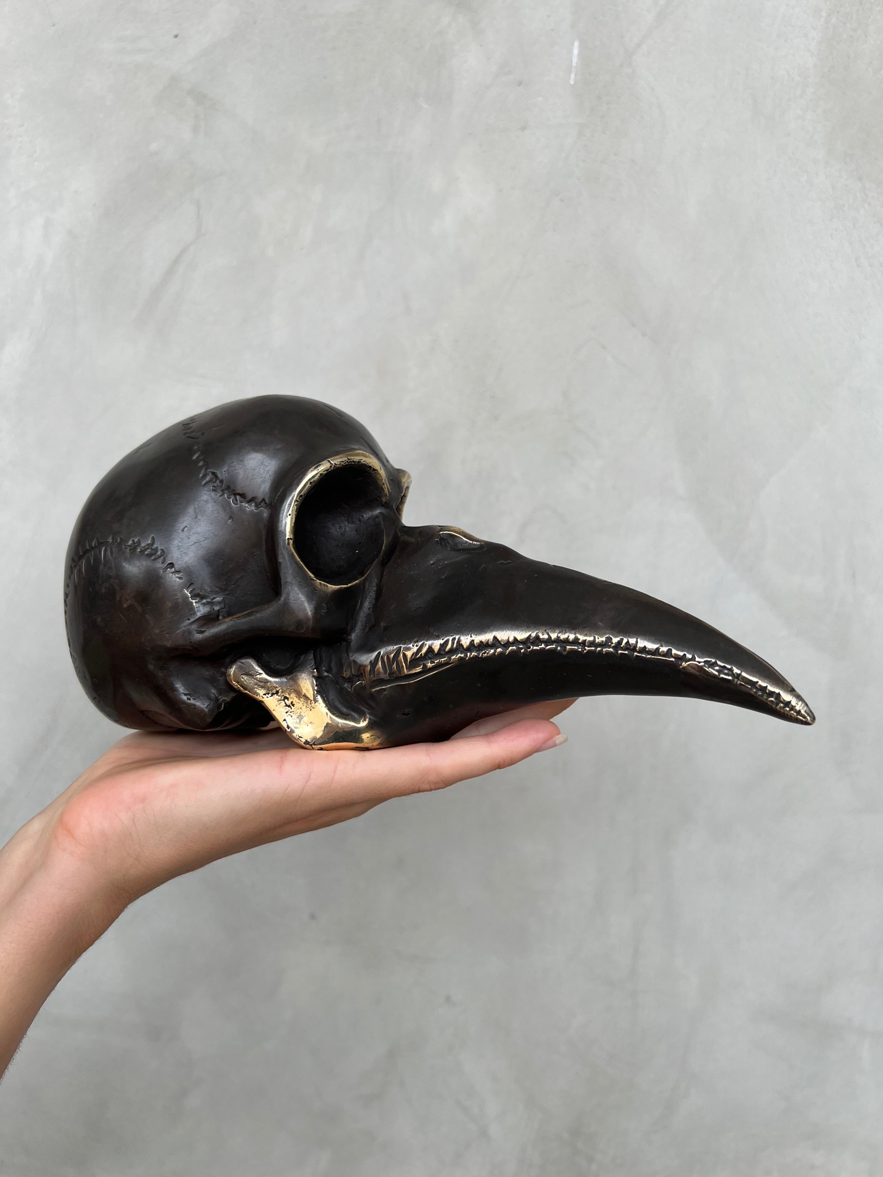 Mythical Dayak Bird Head Bronze with Polished Accents