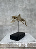 Great White Shart Polished Bronze on Stand