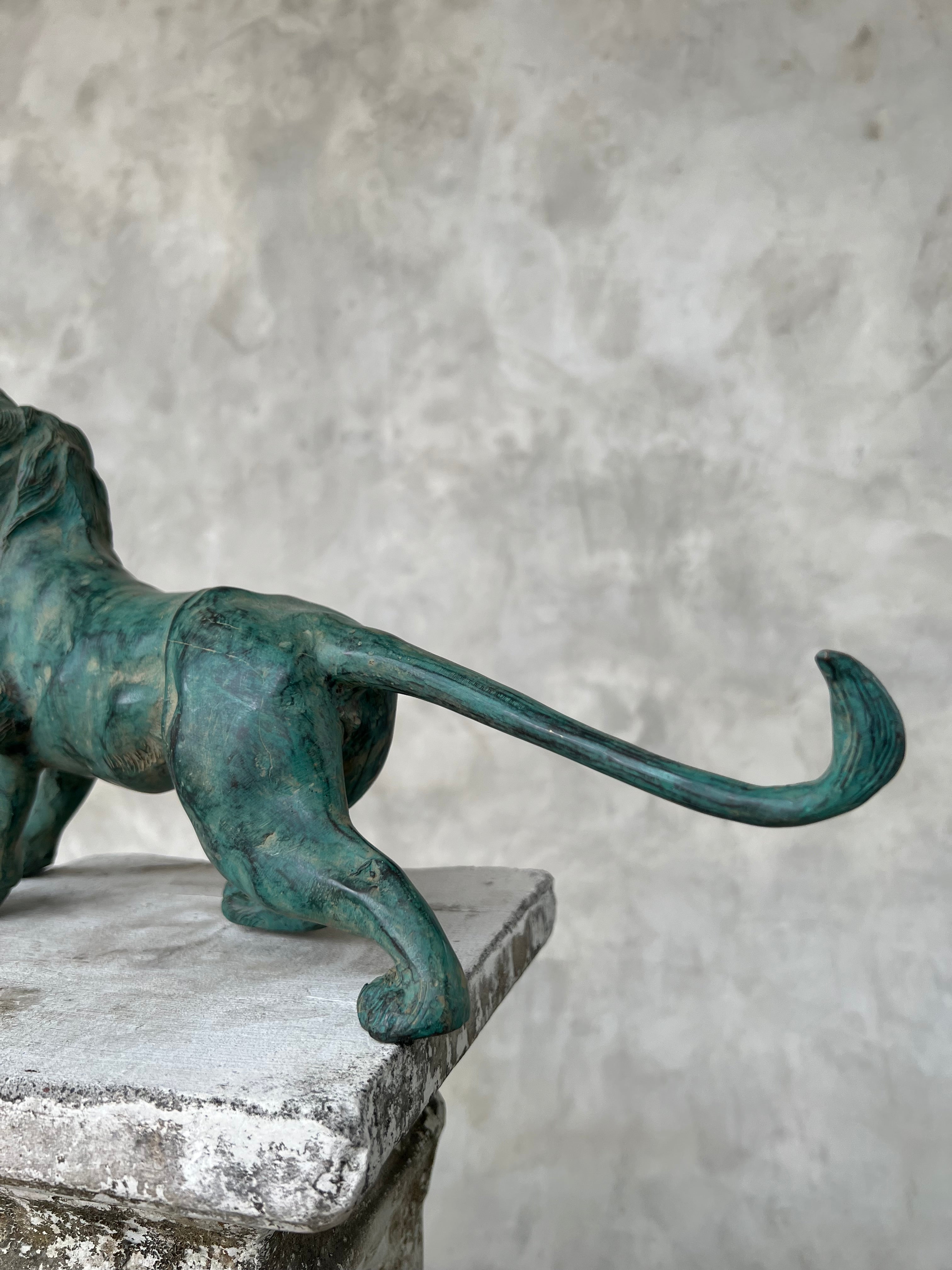 Lion Roaring Dark Patinated