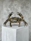 Crab Patinated Bronze - Medium