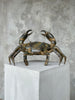 Crab Patinated Bronze - Medium