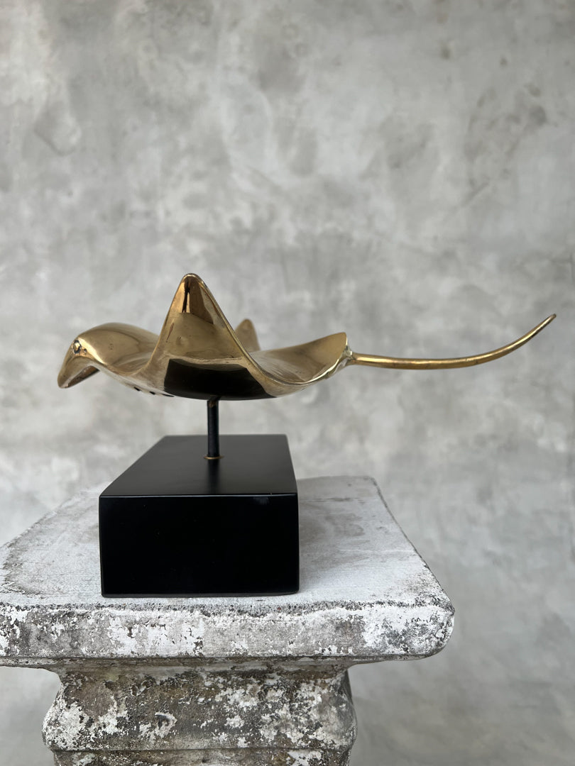 Manta Ray Polished - Medium Large