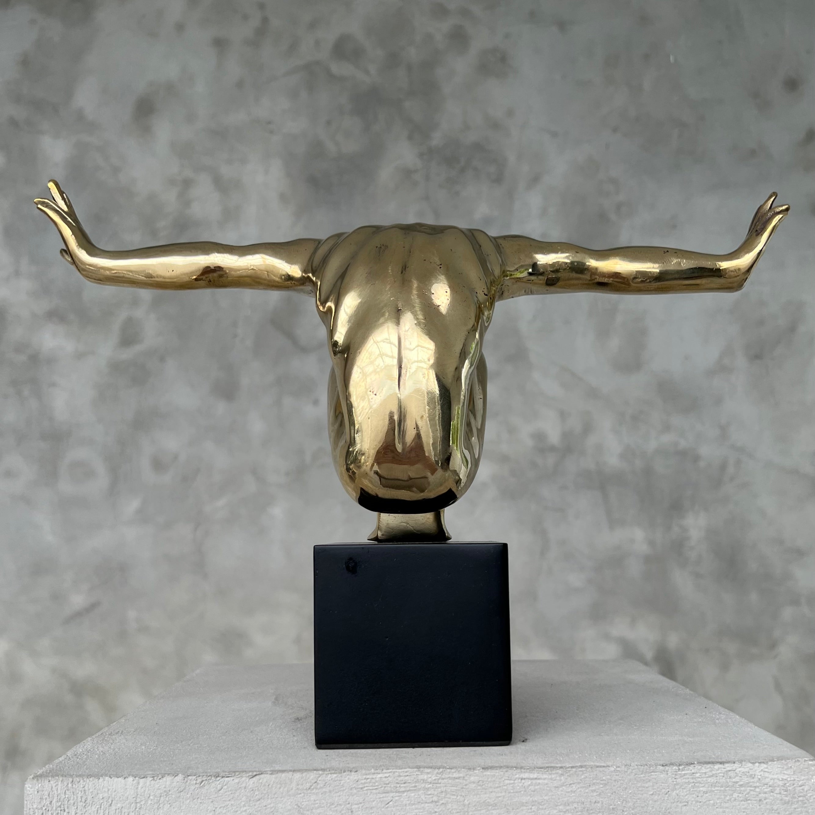 Olympic Swimmer Polished  Bronze - S