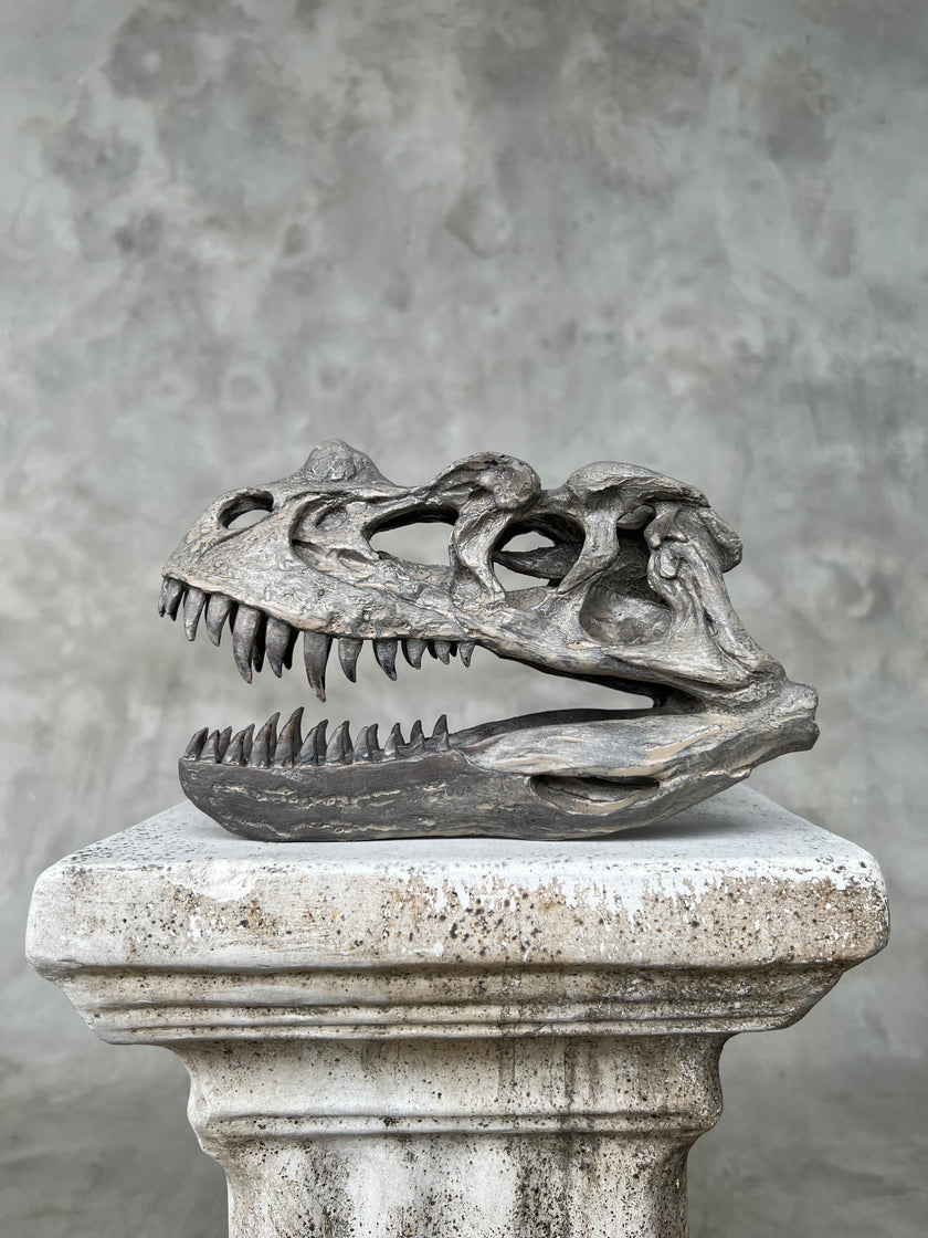 Ceratosaurus Grey - RS009