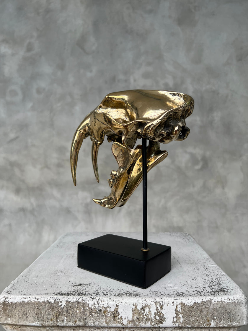 Saber Tooth TIger Polished Bronze Small