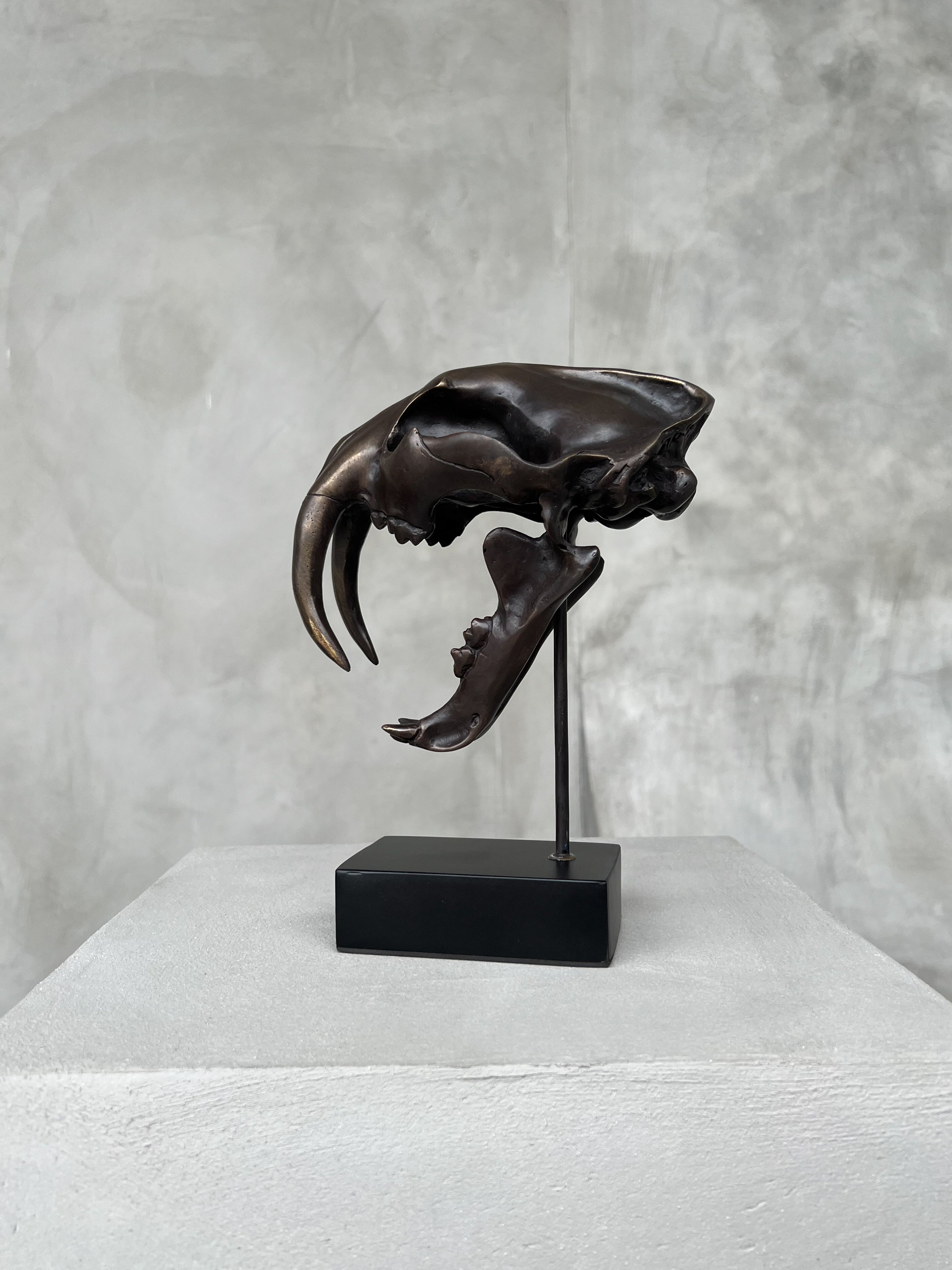 Saber Tooth TIger Bronze Small