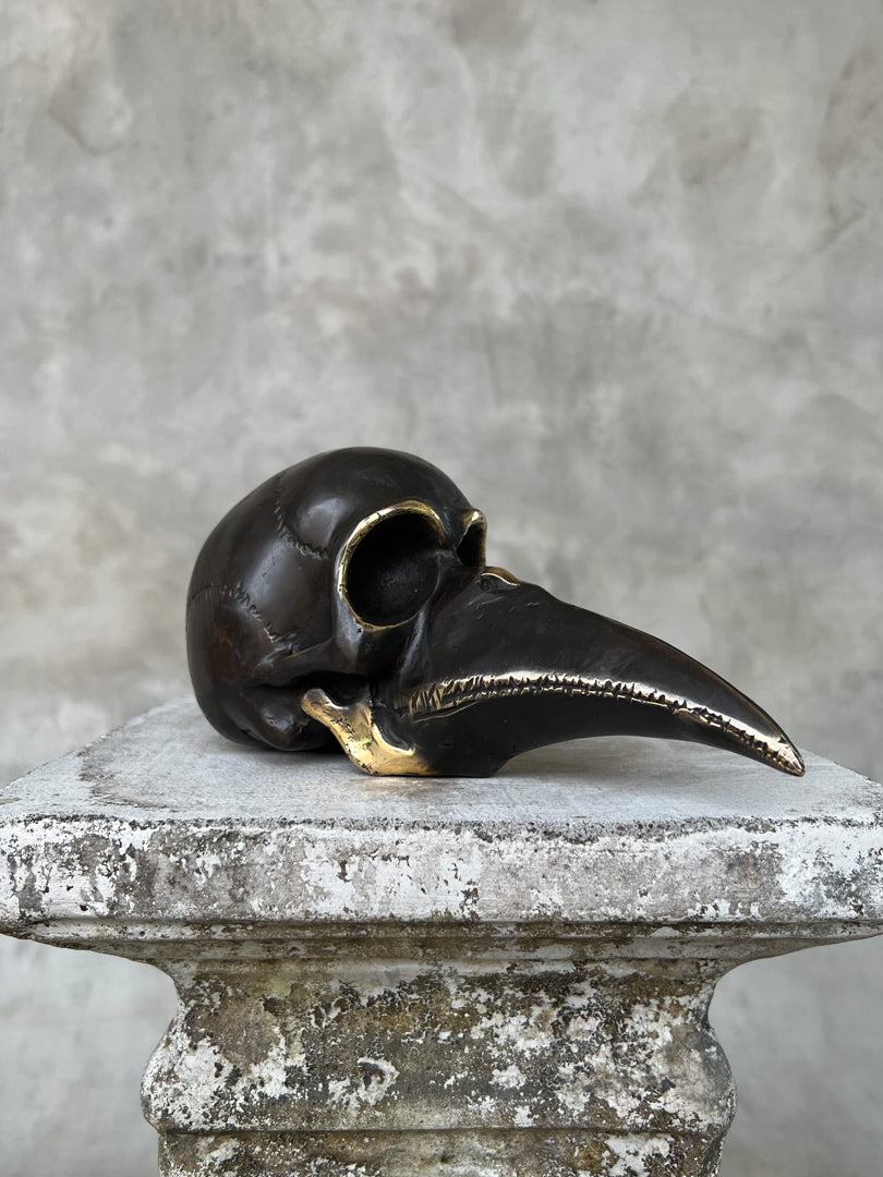 Mythical Dayak Bird Head Bronze with Polished Accents