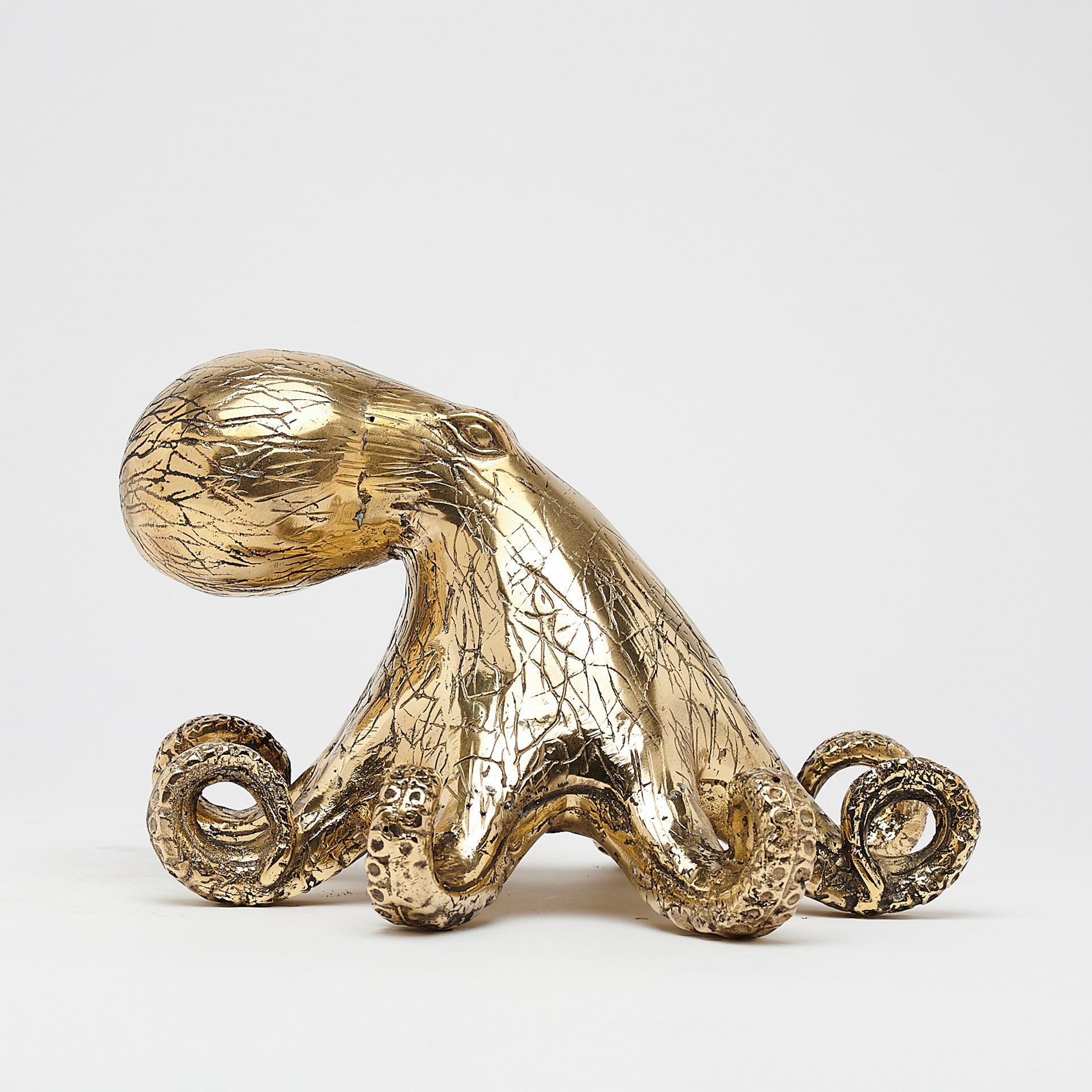 Octopus Polished Bronze - Medium