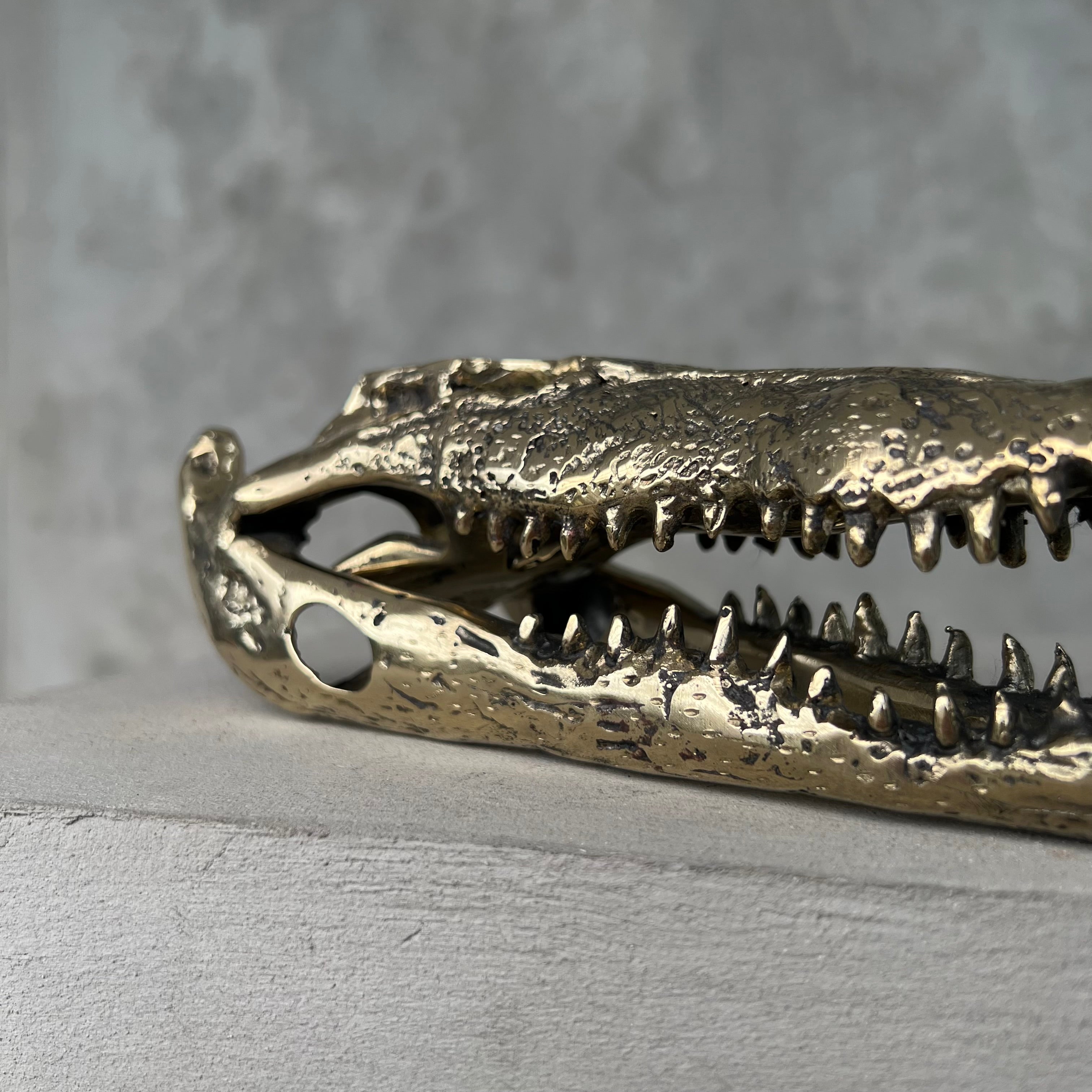 Crocodile Polished Bronze - S