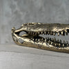 Crocodile Polished Bronze - S