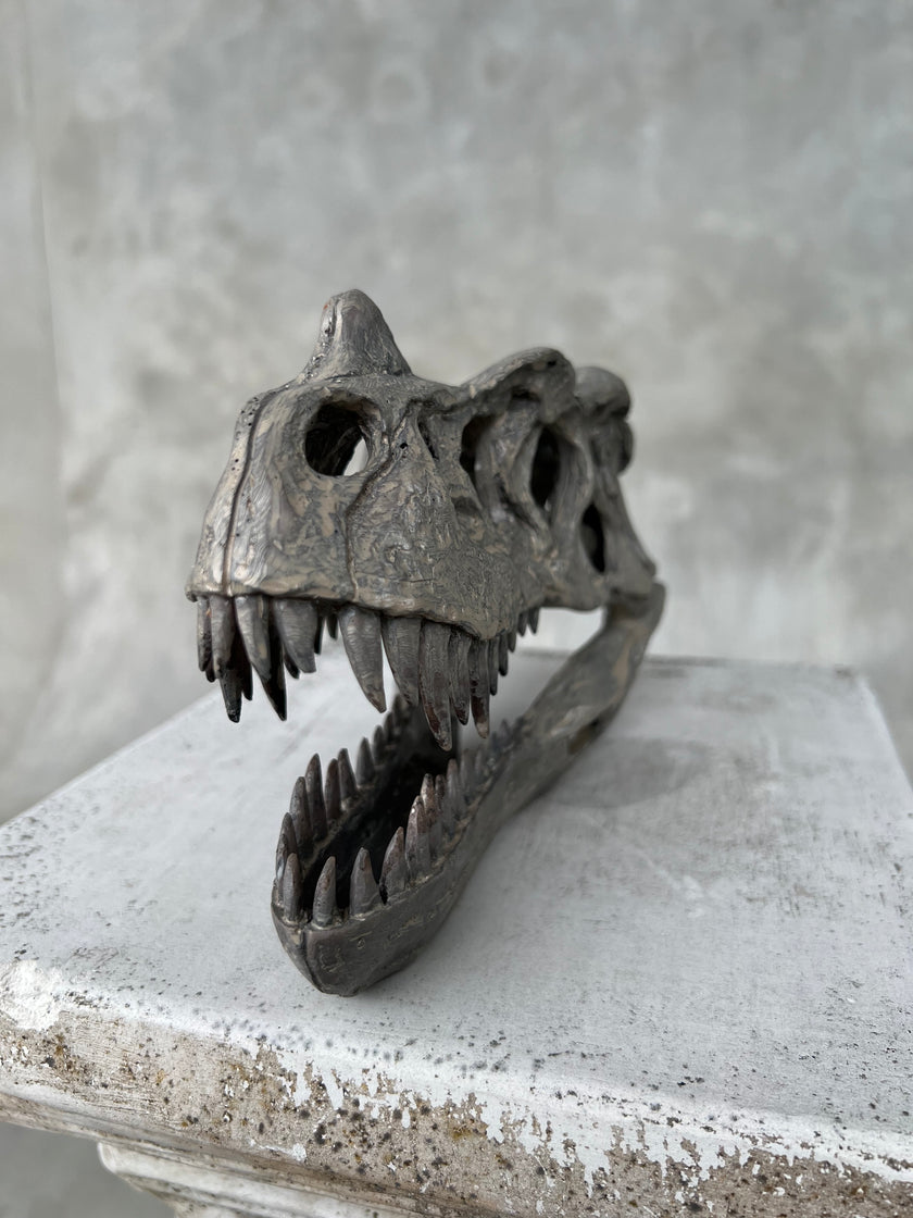 Ceratosaurus Grey - RS009