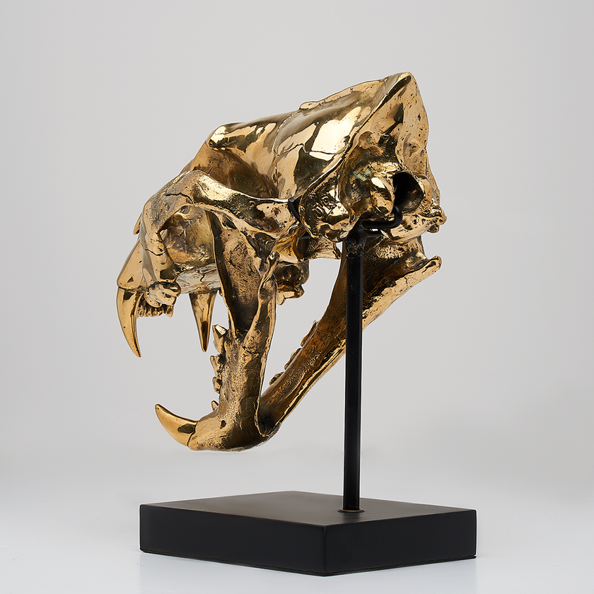 Tiger Skull Sumatran Polished Bronze