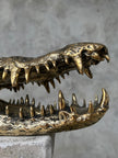 Crocodile Skull without Base Polished Bronze Large