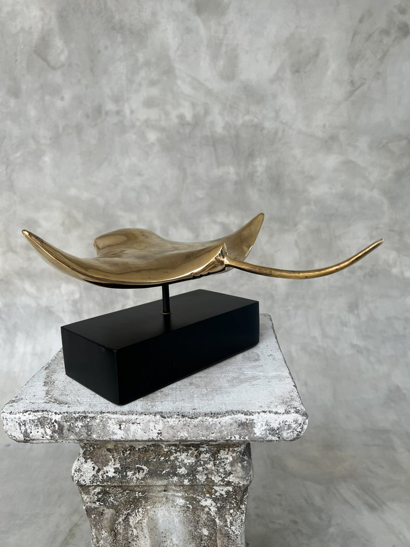 Manta Ray Polished - Medium Large