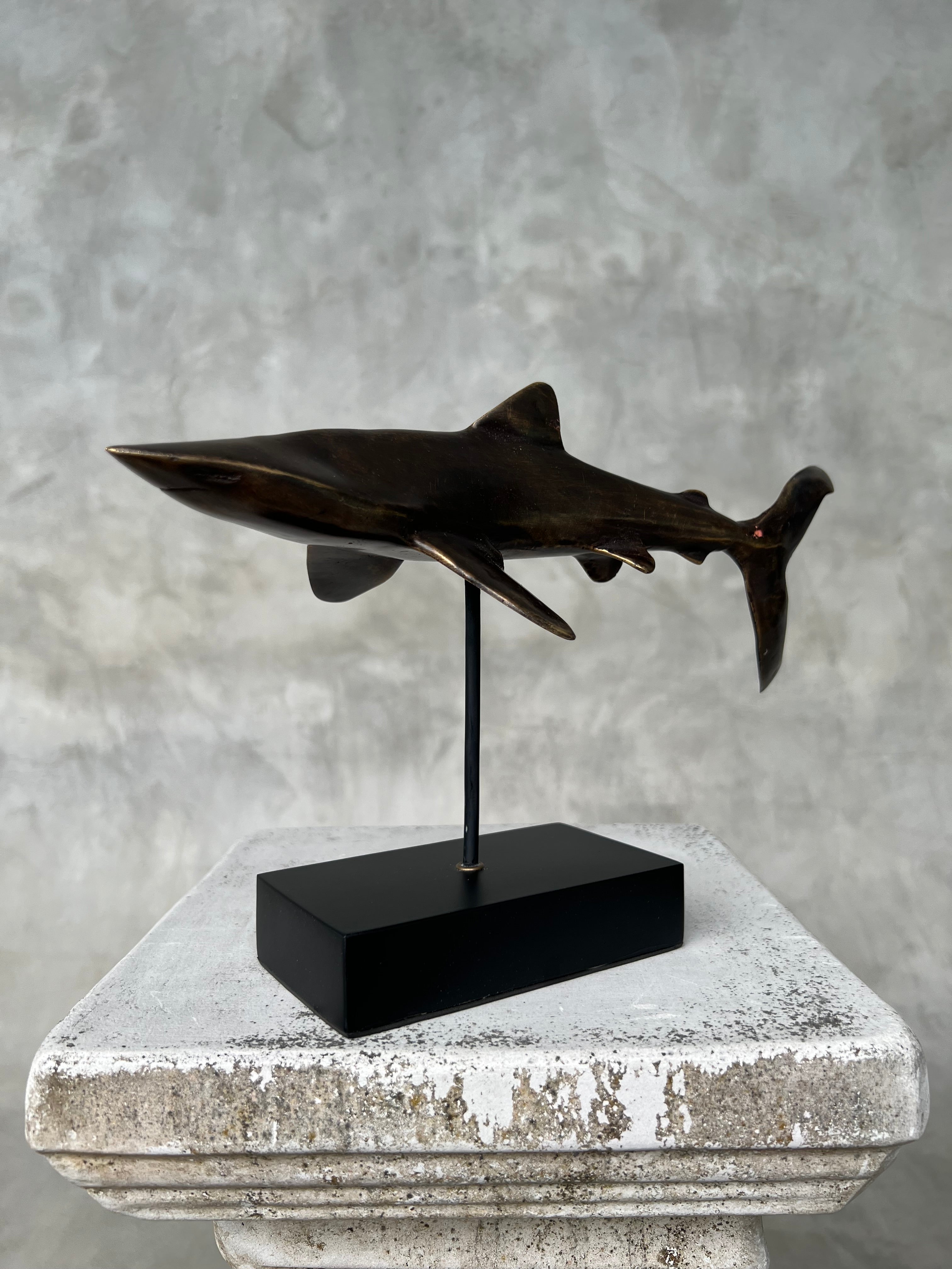 Great White Shart Brown Bronze on a Stand