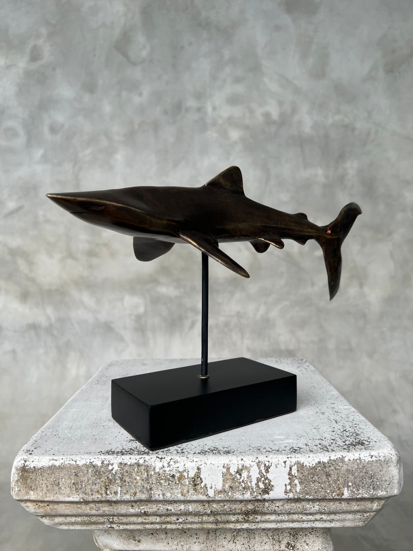 Great White Shart Brown Bronze on a Stand
