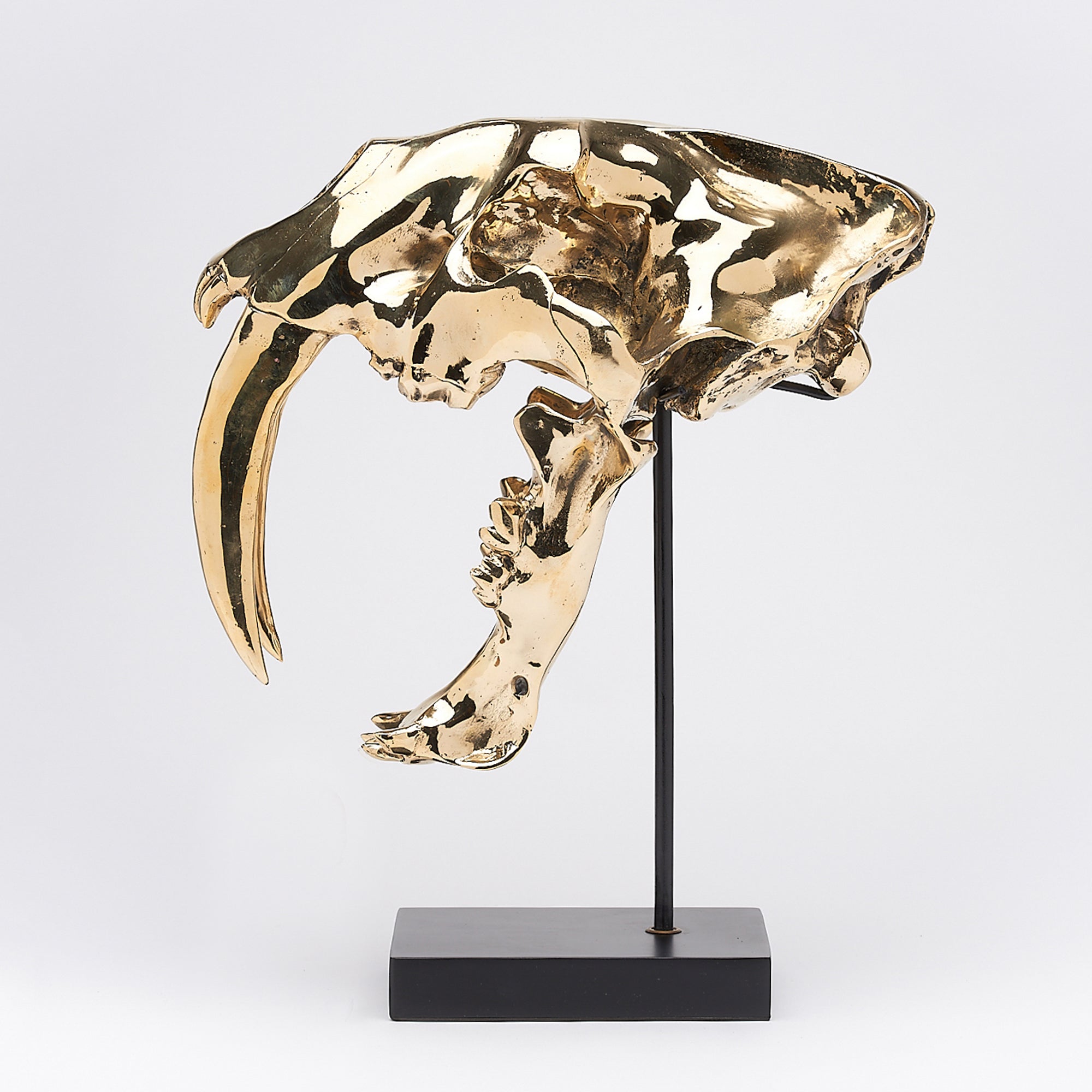 Sabretooth Tiger Polished Bronze on a Stand - Large