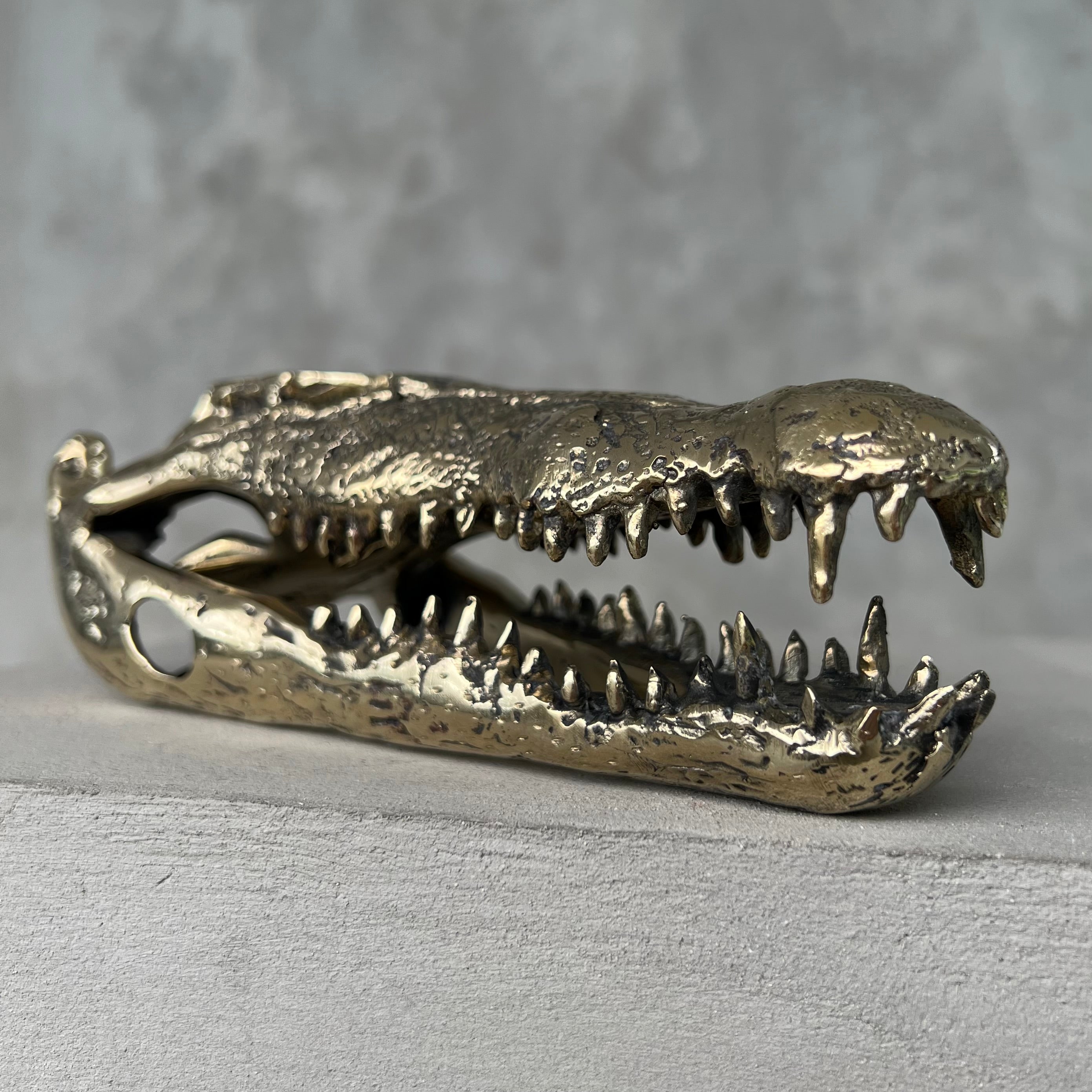 Crocodile Polished Bronze - S