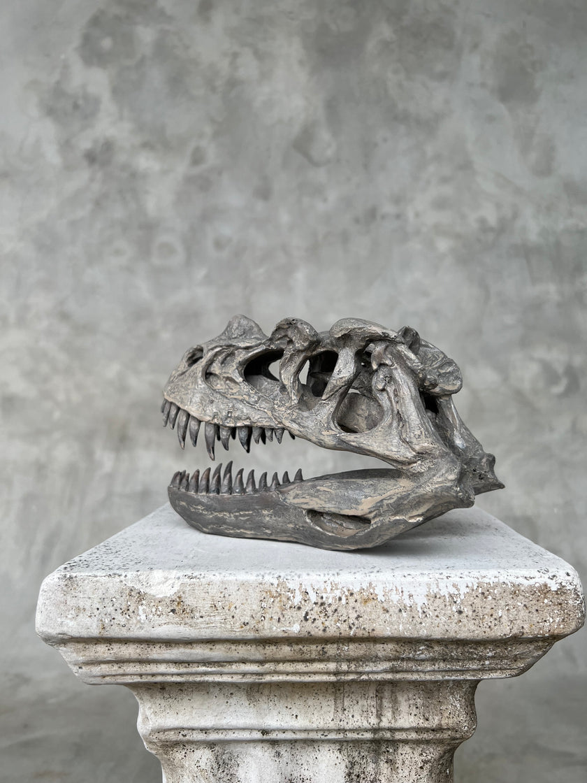 Ceratosaurus Grey - RS009