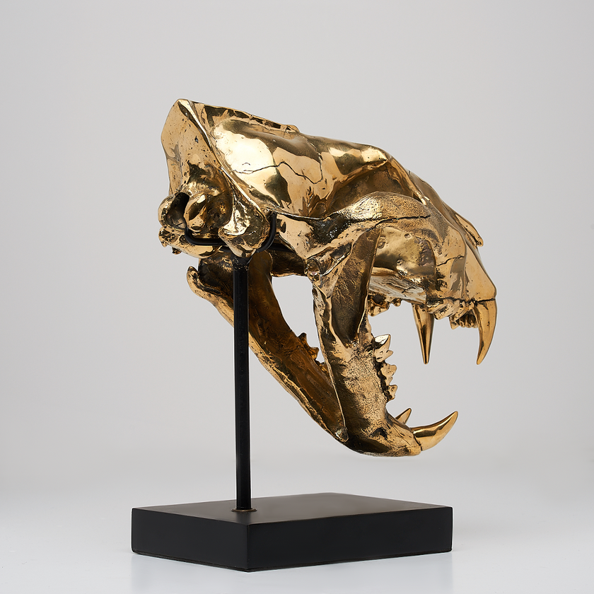 Tiger Skull Sumatran Polished Bronze