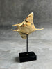 Mantaray on a stand Polished Bronze