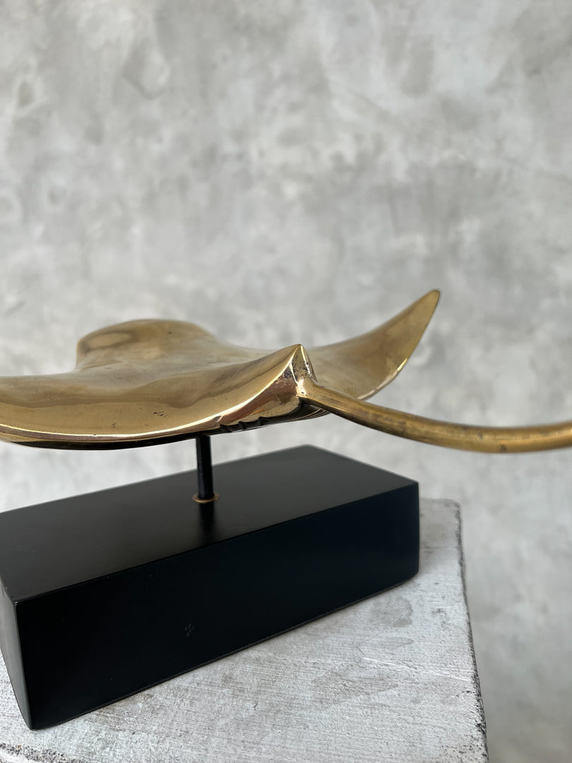 Manta Ray Polished - Medium Large