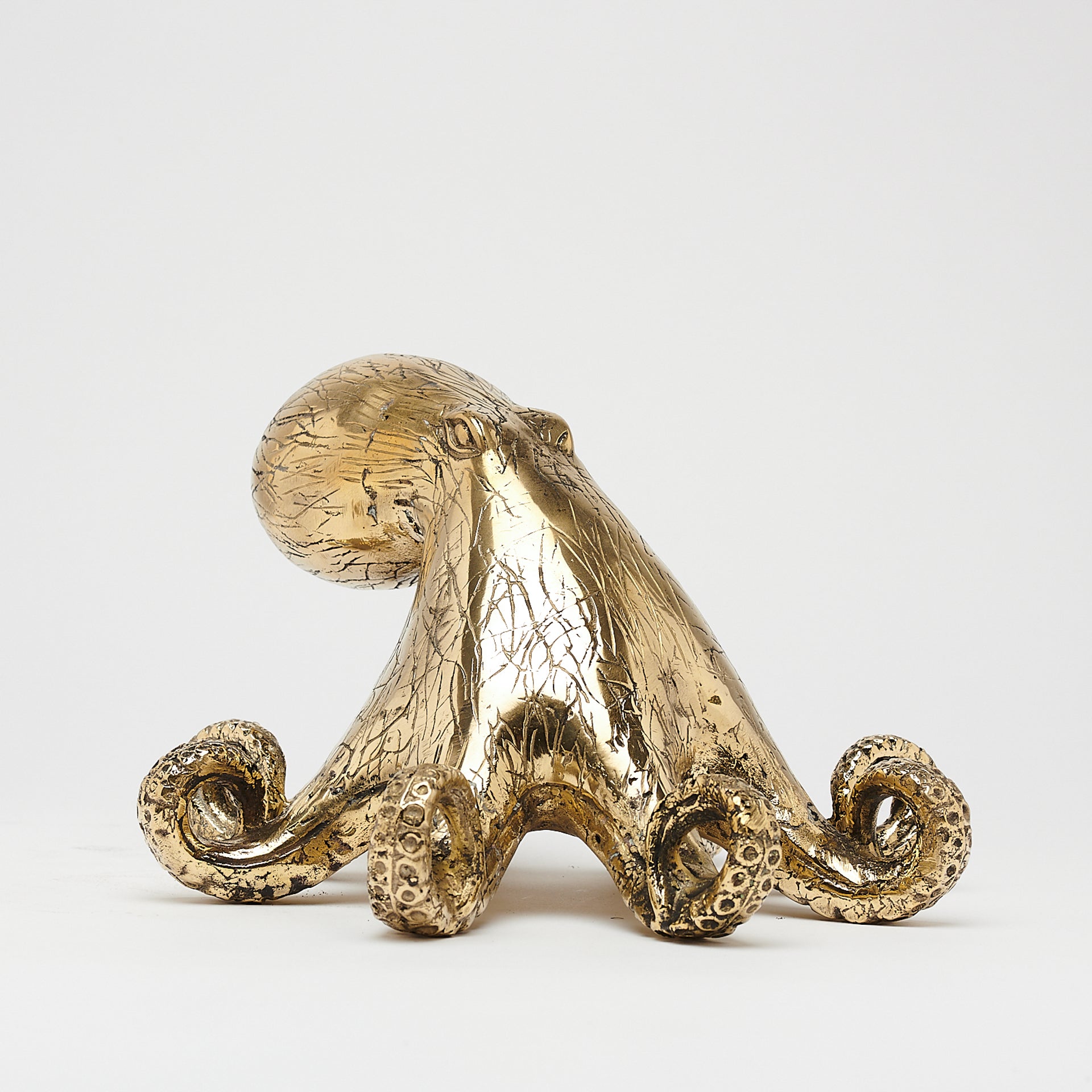 Octopus Polished Bronze - Medium