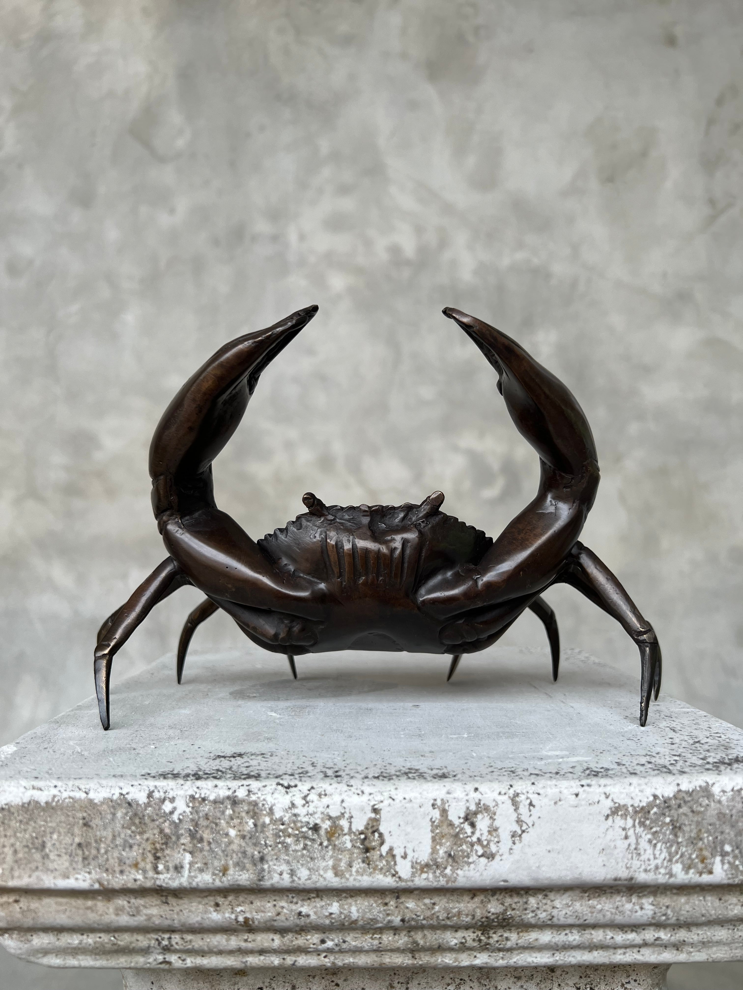 Crab Brown Bronze - S