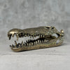 Crocodile Polished Bronze - S