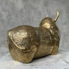 American Bison Polished Bronze