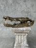 Crocodile Skull without Base Polished Bronze Large