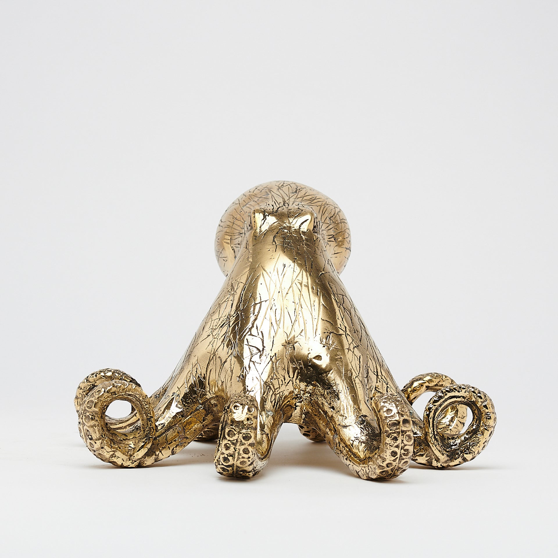 Octopus Polished Bronze - Medium