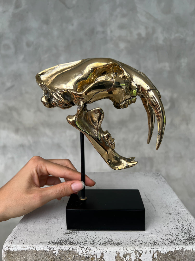 Saber Tooth TIger Polished Bronze Small