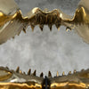 Shark Mako Jaw Polished Bronze - Medium