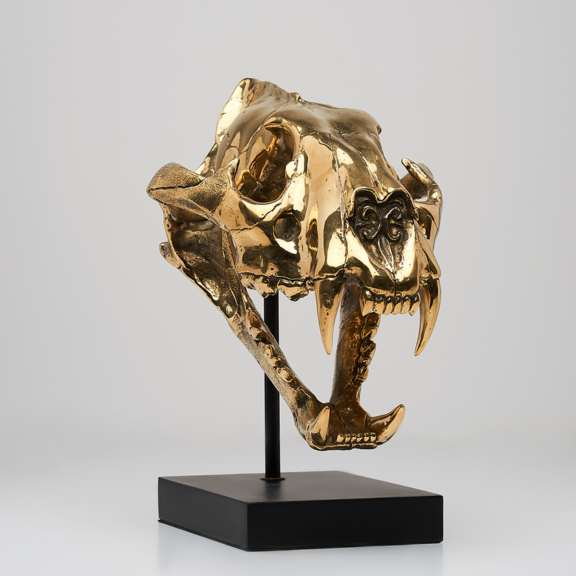 Tiger Skull Sumatran Polished Bronze