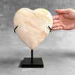 Wonderful Petrified Wood Heart-Shaped on a Custom Stand PWH/23/538