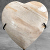 Wonderful Petrified Wood Heart-Shaped on a Custom Stand PWH/23/538