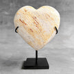 Wonderful Petrified Wood Heart-Shaped on a Custom Stand PWH/23/540