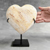 Wonderful Petrified Wood Heart-Shaped on a Custom Stand PWH/23/540