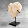 Wonderful Petrified Wood Heart-Shaped on a Custom Stand PWH/23/540