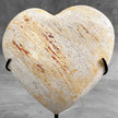 Wonderful Petrified Wood Heart-Shaped on a Custom Stand PWH/23/540