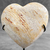 Wonderful Petrified Wood Heart-Shaped on a Custom Stand PWH/23/540