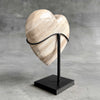 Wonderful Petrified Wood Heart-Shaped on a Custom Stand PWH/23/542